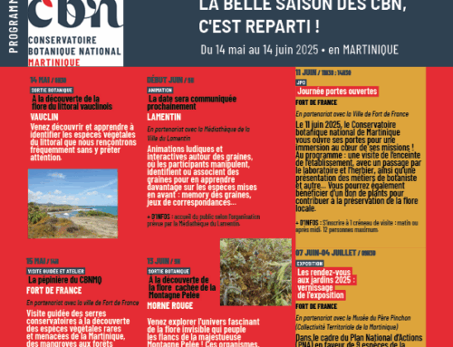 La Belle Saison des CBN 2025 en Martinique