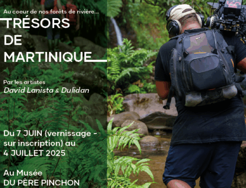 Exposition: Au cœur de nos forêts de rivière… Trésors de Martinique