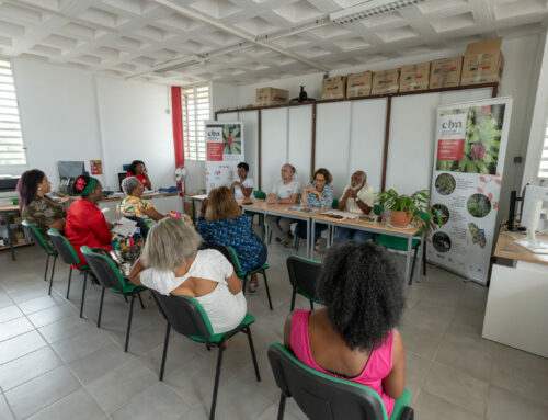 Clap de fin pour la Belle Saison des Conservatoires botaniques 2025 en Martinique
