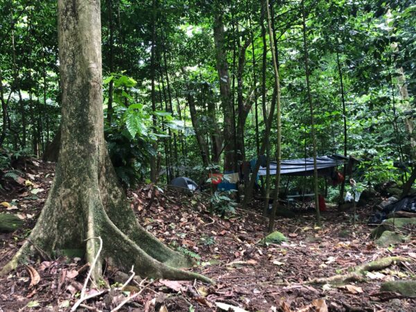 Bivouac, RBI Prêcheur- Grand'Rivière.