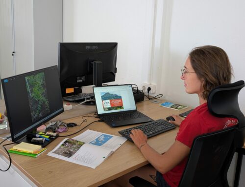 Rencontre avec Laurine, Technicienne de conservation in-situ au CBN de Martinique