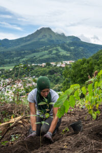 Laurine sur le chantier de restauration de la station historique de l'Estrée de Saint-Pierre.